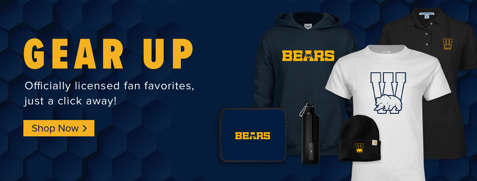 Promotional banner
