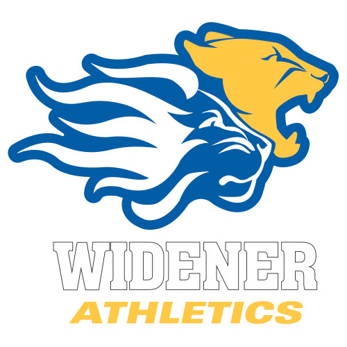  Extra Large Decal - Widener Athletics