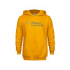 Thumbnail image for  Youth Gold Fleece Hoodie