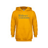 Thumbnail image for  Youth Gold Fleece Hoodie