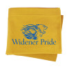 Thumbnail image for  Gold Sweatshirt Blanket