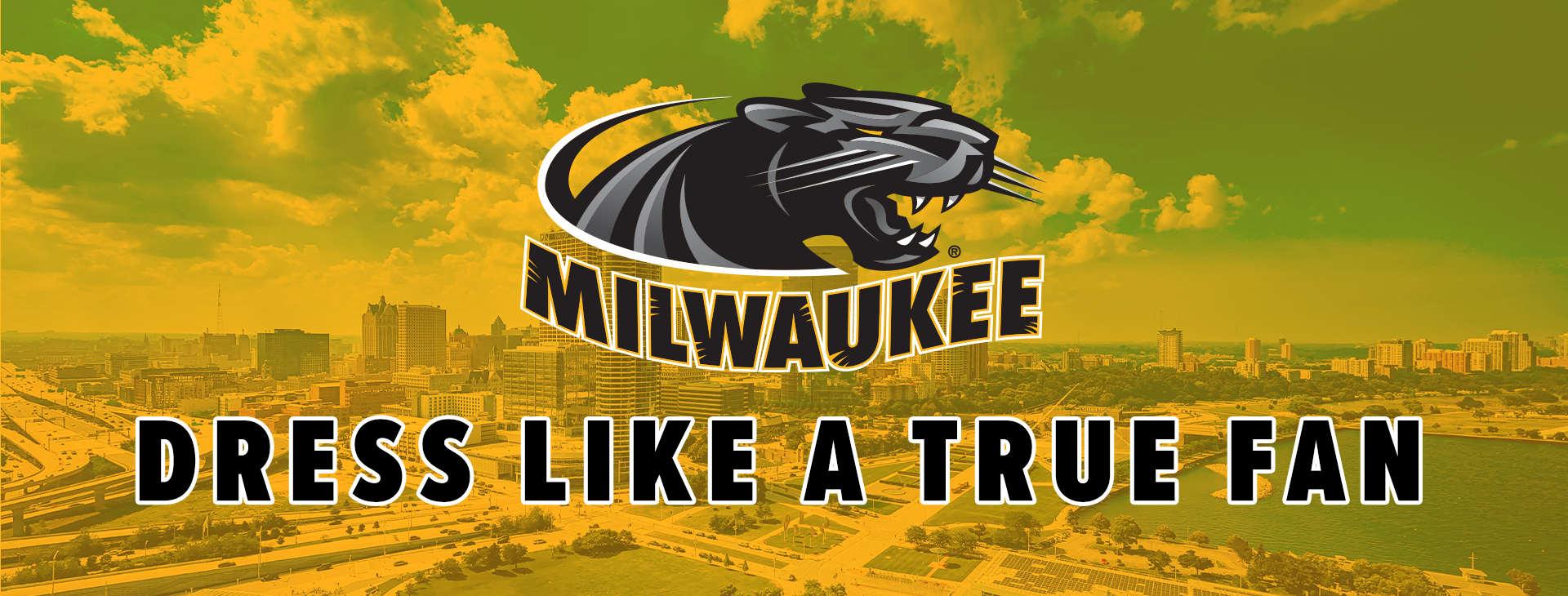Promotional banner