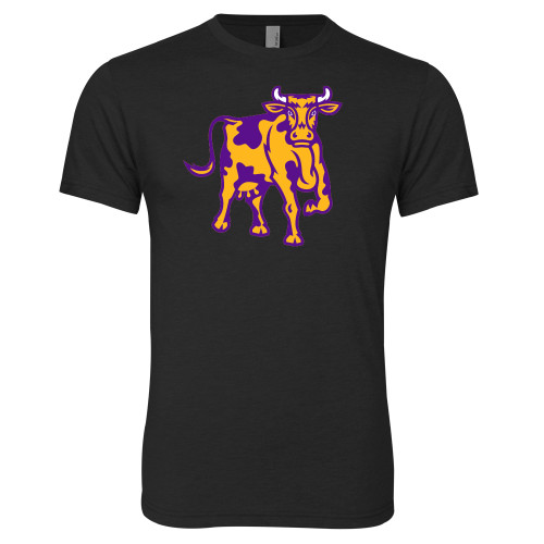  Next Level Black Triblend Tee - Ephelia