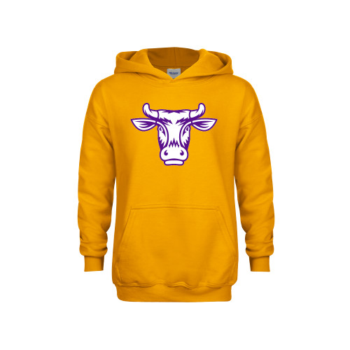  Youth Gold Fleece Hoodie - Ephelia Head