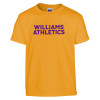 Thumbnail image for  Youth Gold T Shirt