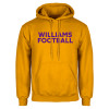 Thumbnail image for  Gold Fleece Hoodie