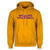 Thumbnail image for  Gold Fleece Hoodie