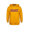 Thumbnail image for  Youth Gold Fleece Hoodie
