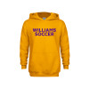 Thumbnail image for  Youth Gold Fleece Hoodie