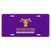 Thumbnail image for  License Plate