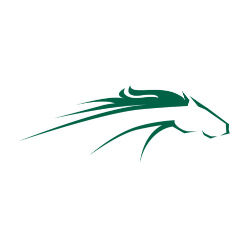  Medium Decal - William Peace University Pacer Head