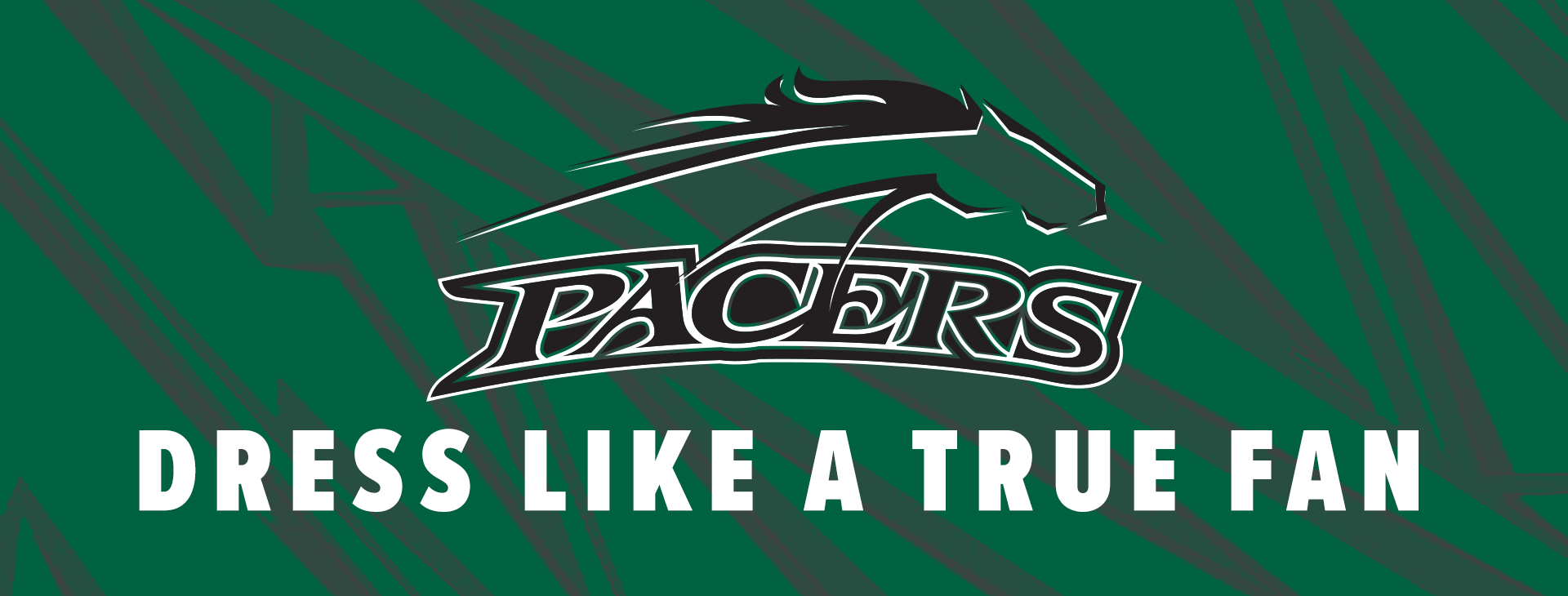 Promotional banner