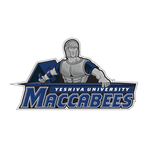  Medium Decal - Primary Logo