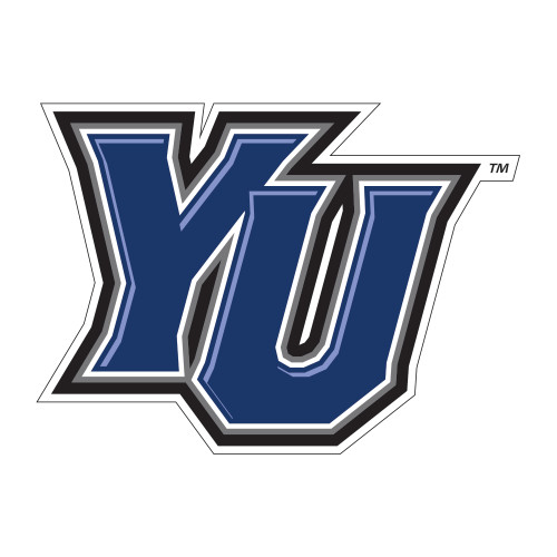  Medium Decal - YU