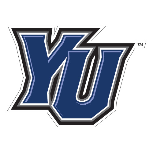  Large Decal - YU