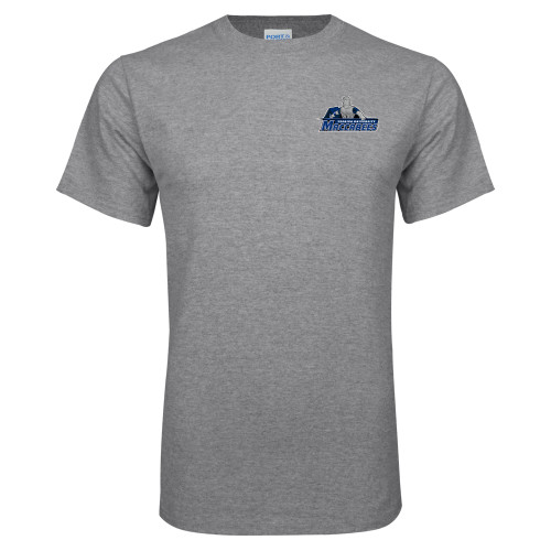 Main Image for  Grey T Shirt